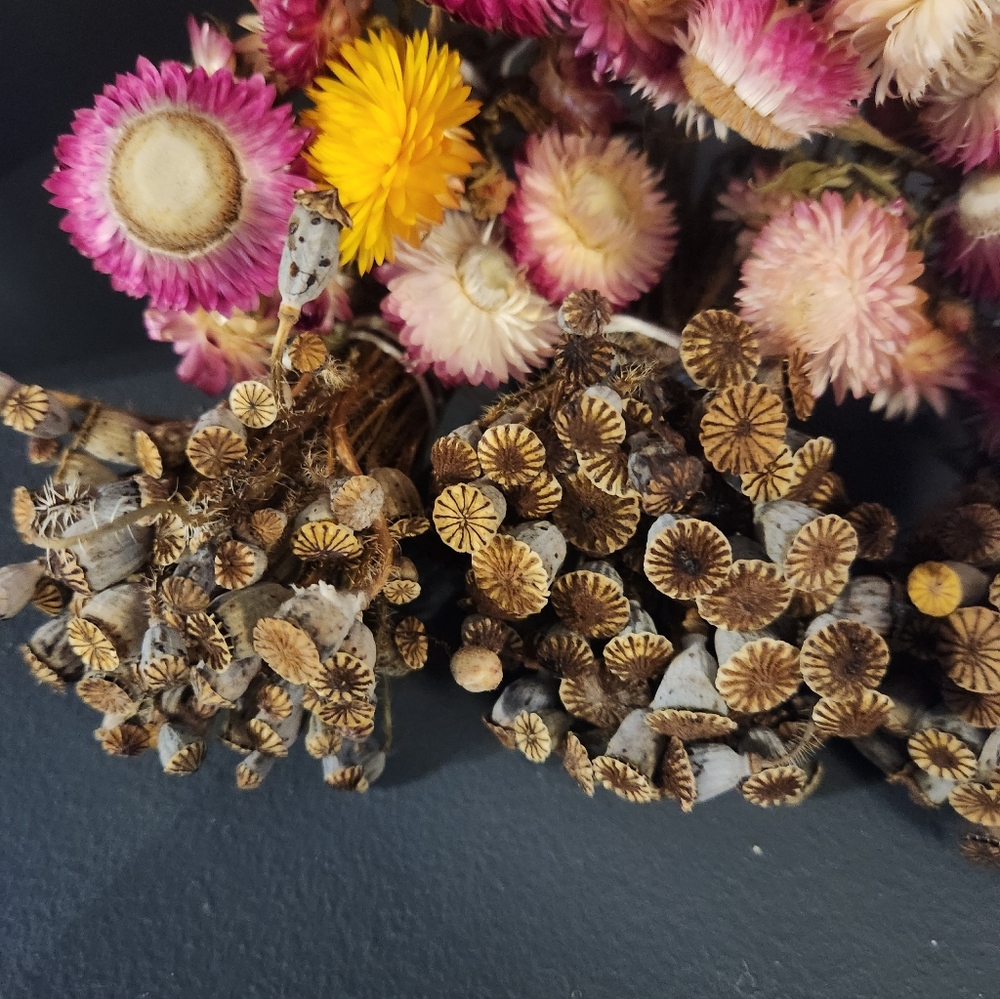 6 Little Real Dried Pod And Flower Bouquets. - Picture 4 of 9